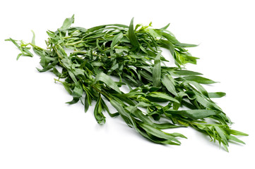 tarragon close up