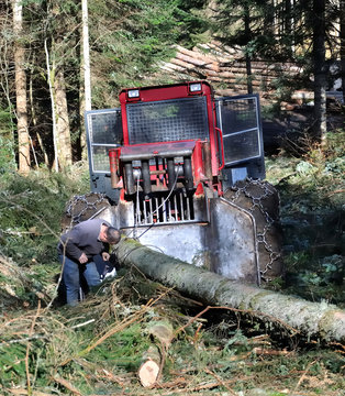 b&ucirc;cheron et engin forestier