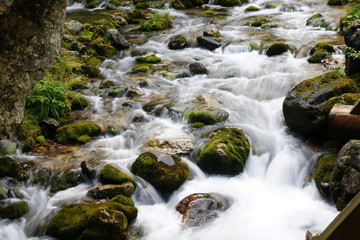 Mountain stream in the Polish Tatras
