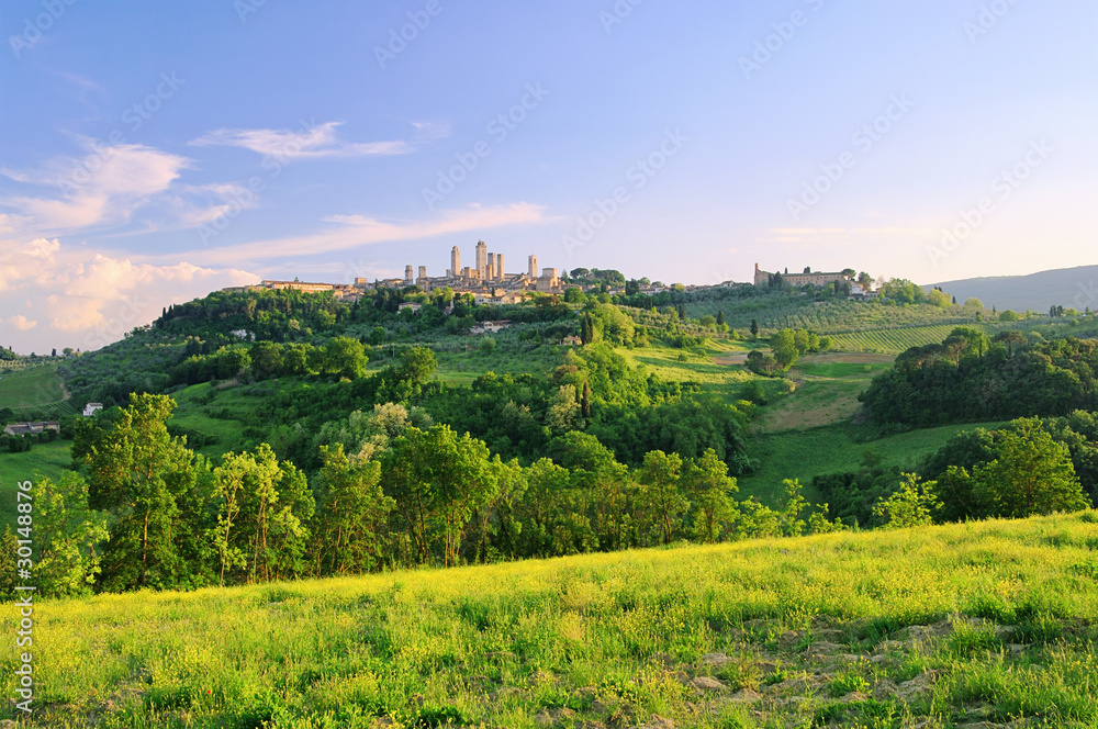 Canvas Prints San Gimignano 12