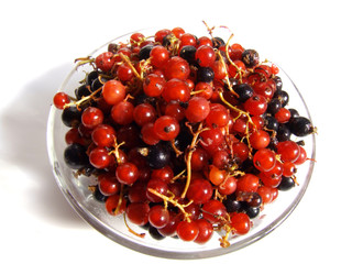 currant