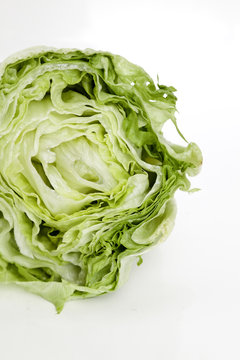 lechuga iceberg