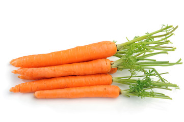 Carrot