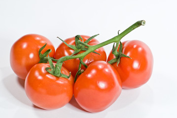 grappe de tomates