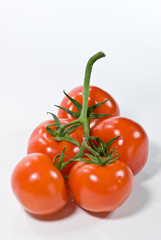 tomates en grappe