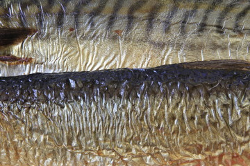 Räucherfische