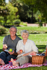 Retired couple  picnicking in the garden