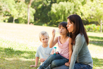 Fototapeta premium Family blowing bubbles in the park