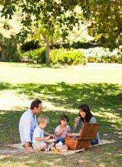 Smiling family picnicking in the park