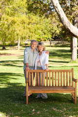 Portrait of a lovely couple behind the bench