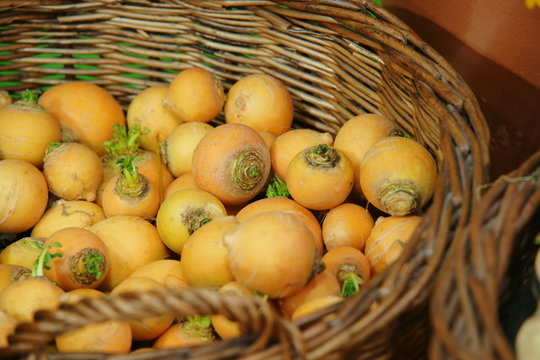 Gastronomie legume 33