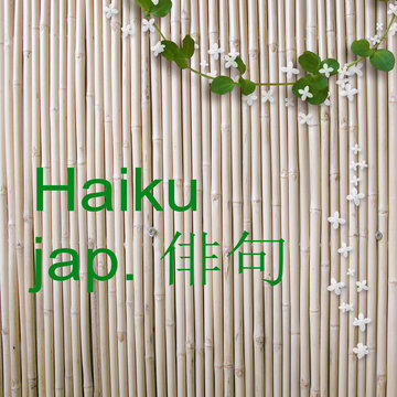 hintergrund bambus, begriff japanische lyrik,