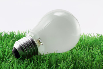 glühlampe in wiese