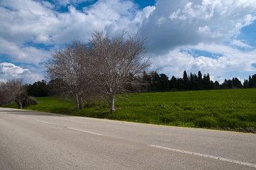 Fototapeta premium road