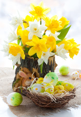 Narcissus and tulips for Easter