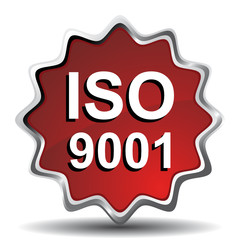 ISO 9001 ICON