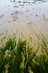 sand beach during tide