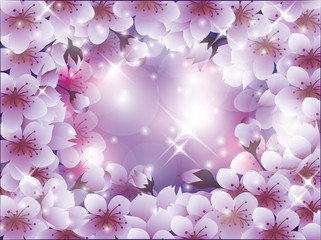 Beautiful background with sakura blossom, vector illustration