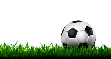football in green grass on white background