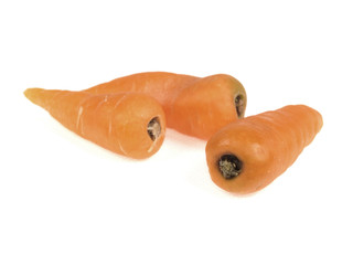 Carrots