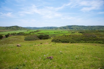 green fields at Menorca