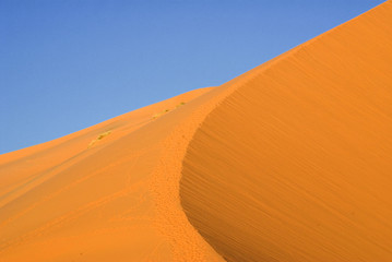 Fototapeta na wymiar wydmy Sahary