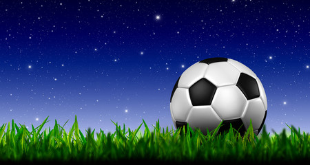 Fototapeta premium football in green grass over a twilight sky