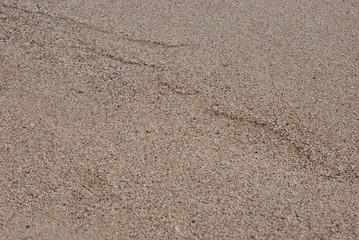 sable