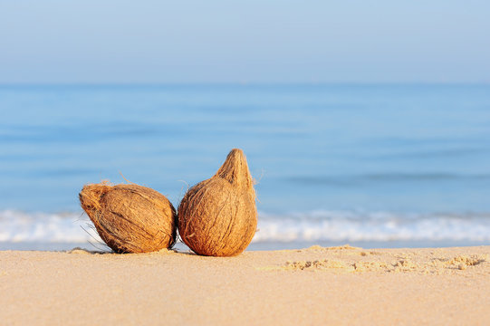 Two coconuts