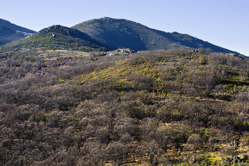 Cerro Salinero