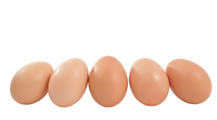 eggs