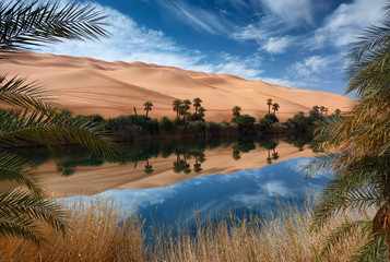oasi desert