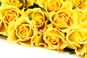 yellow roses