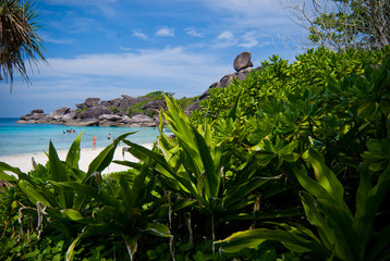 Similan thailand