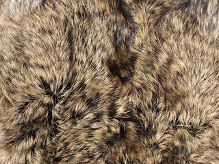 Rabbit fur background
