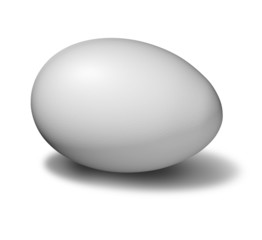 egg white isolated
