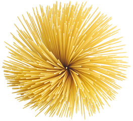 Italian pasta, close up shot, on white background