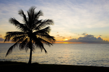Fototapeta na wymiar zachód słońca nad Morze Karaibskie, Barbados