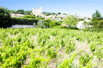 Fototapeta na wymiar Chateauneuf-du-Pape with vineyard, Provence, France