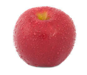 Red apple in dew