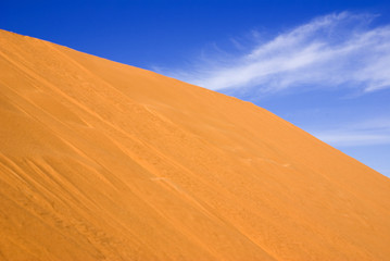 Fototapeta na wymiar wydmy Sahary