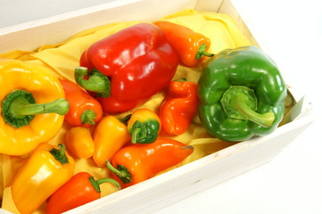 Paprika