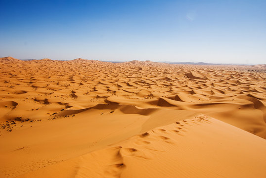 dunes of Sahara
