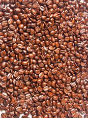 Many brown coffee beans for background