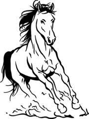 Obraz na płótnie Canvas prowadzenie konia