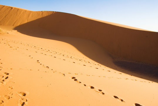 Sahara desert