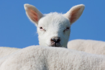 Playing hide and seek