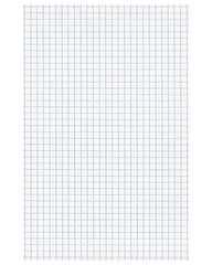 Blank Notebook Sheet