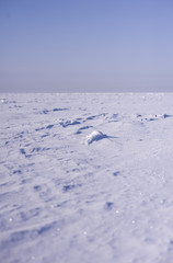 Winter snow landscape