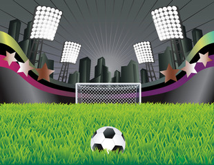 Soccer field with detailed grass and goal.